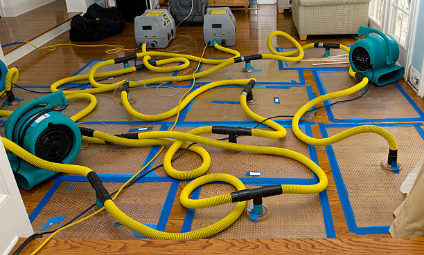 Professional Basement Flood Cleanup technician working in Sheridan, CO